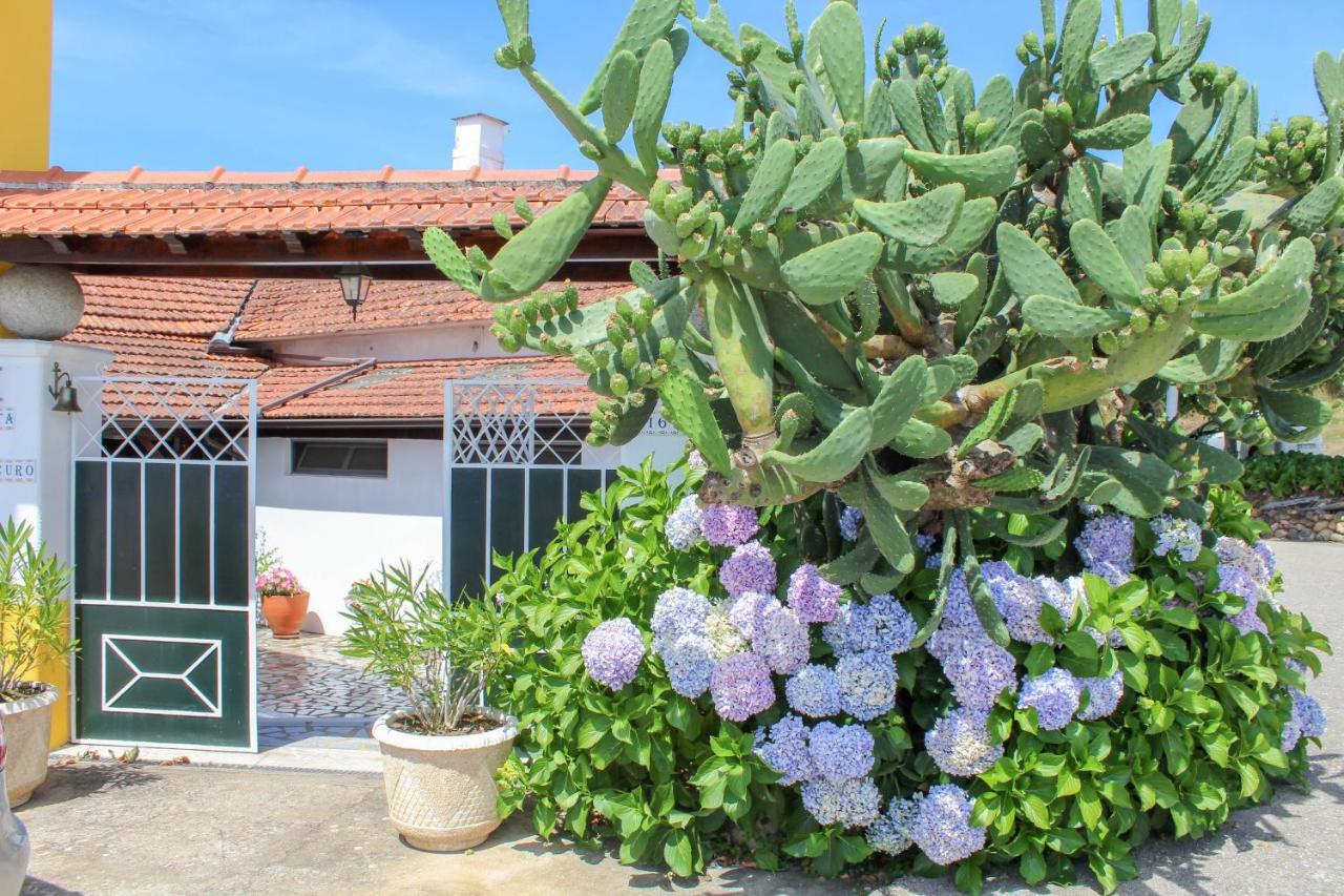Quinta De Vale Escuro Hotel Lousã Exterior photo